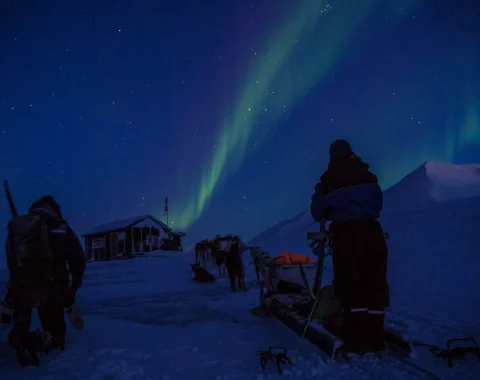 Hundekjøring til Foxdalen NO