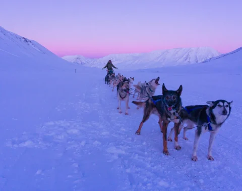 Med hundeslede til isgrotta NO